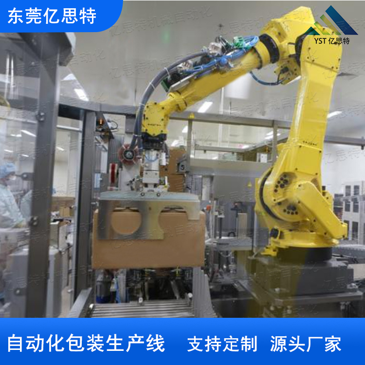 紙箱碼垛機(jī)與自動(dòng)化包裝生產(chǎn)線案例